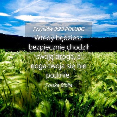 Picture 04 - Przysłów 3:23 POLUBG - Wtedy będziesz bezpiecznie chodził swoją - Bible Verse Picture