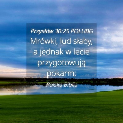 Picture 04 - Przysłów 30:25 POLUBG - Mrówki, lud słaby, a jednak w lecie - Bible Verse Picture