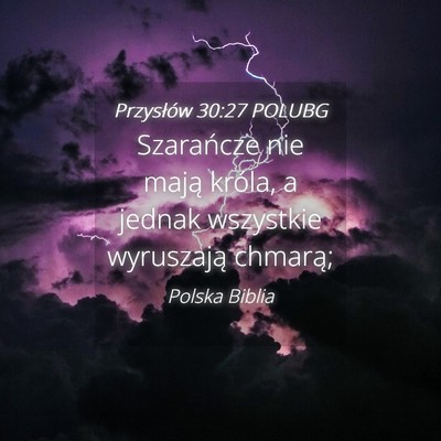 Picture 04 - Przysłów 30:27 POLUBG - Szarańcze nie mają króla, a jednak wszystkie - Bible Verse Picture