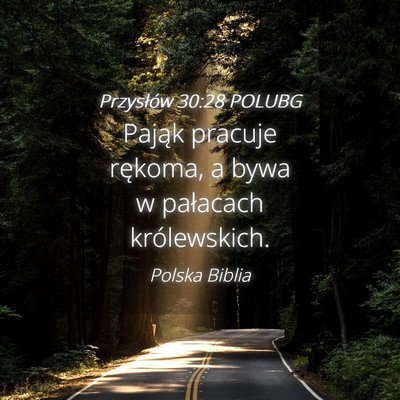 Picture 04 - Przysłów 30:28 POLUBG - Pająk pracuje rękoma, a bywa w pałacach - Bible Verse Picture
