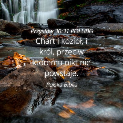 Picture 04 - Przysłów 30:31 POLUBG - Chart i kozioł, i król, przeciw któremu nikt - Bible Verse Picture
