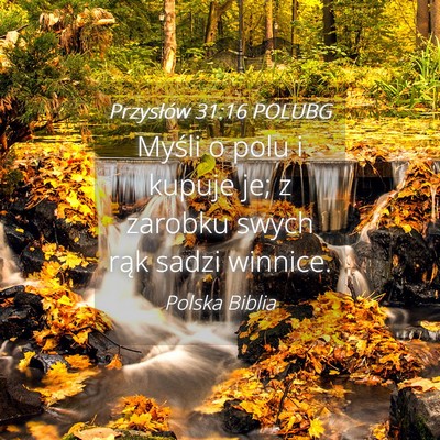 Picture 04 - Przysłów 31:16 POLUBG - Myśli o polu i kupuje je; z zarobku swych rąk - Bible Verse Picture