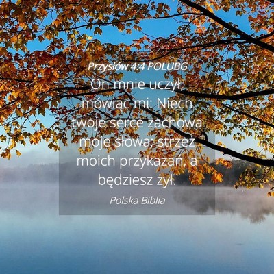Picture 04 - Przysłów 4:4 POLUBG - On mnie uczył, mówiąc mi: Niech twoje serce - Bible Verse Picture