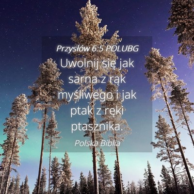 Picture 04 - Przysłów 6:5 POLUBG - Uwolnij się jak sarna z rąk myśliwego i jak - Bible Verse Picture