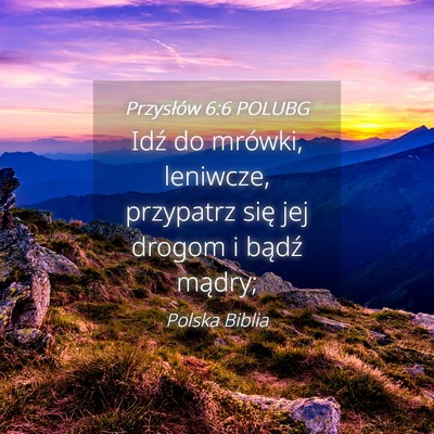 Picture 04 - Przysłów 6:6 POLUBG - Idź do mrówki, leniwcze, przypatrz się jej - Bible Verse Picture