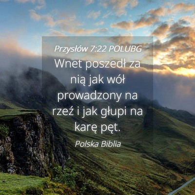 Picture 04 - Przysłów 7:22 POLUBG - Wnet poszedł za nią jak wół prowadzony na - Bible Verse Picture