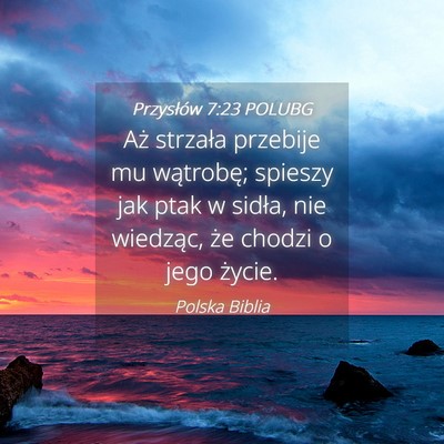 Picture 04 - Przysłów 7:23 POLUBG - Aż strzała przebije mu wątrobę; spieszy jak - Bible Verse Picture