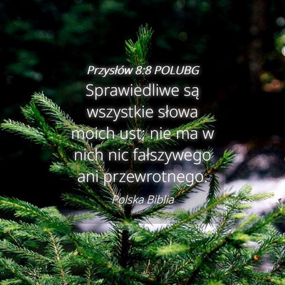 Picture 04 - Przysłów 8:8 POLUBG - Sprawiedliwe są wszystkie słowa moich ust; nie - Bible Verse Picture