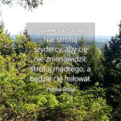 Picture 04 - Przysłów 9:8 POLUBG - Nie strofuj szydercy, aby cię nie znienawidził; - Bible Verse Picture