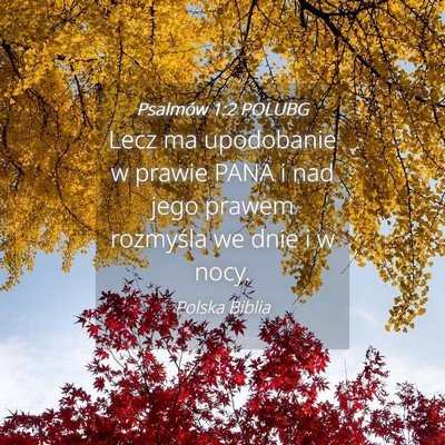 Picture 04 - Psalmów 1:2 POLUBG - Lecz ma upodobanie w prawie PANA i nad jego - Bible Verse Picture