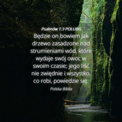 Picture 04 - Psalmów 1:3 POLUBG - Będzie on bowiem jak drzewo zasadzone nad - Bible Verse Picture