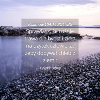Picture 04 - Psalmów 104:14 POLUBG - Sprawiasz, że rośnie trawa dla bydła i zioła - Bible Verse Picture