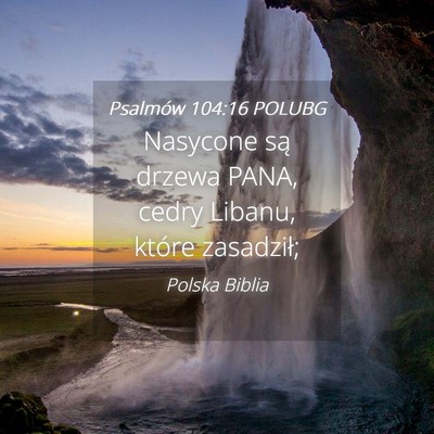Picture 04 - Psalmów 104:16 POLUBG - Nasycone są drzewa PANA, cedry Libanu, które - Bible Verse Picture
