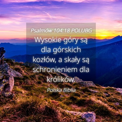 Picture 04 - Psalmów 104:18 POLUBG - Wysokie góry są dla górskich kozłów, a - Bible Verse Picture