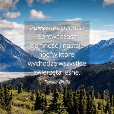 Picture 04 - Psalmów 104:20 POLUBG - Sprowadzasz ciemność i nastaje noc, w której - Bible Verse Picture
