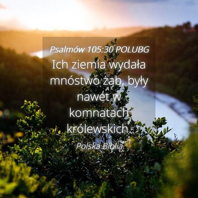 Picture 04 - Psalmów 105:30 POLUBG - Ich ziemia wydała mnóstwo żab, były nawet w - Bible Verse Picture