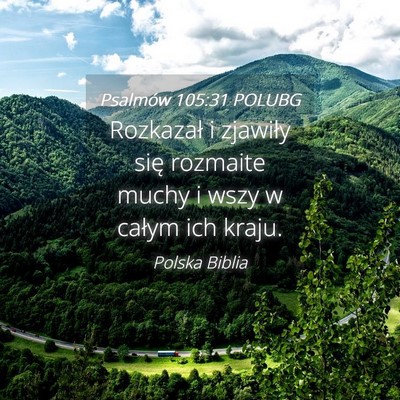 Picture 04 - Psalmów 105:31 POLUBG - Rozkazał i zjawiły się rozmaite muchy i wszy w - Bible Verse Picture
