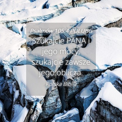 Picture 04 - Psalmów 105:4 POLUBG - Szukajcie PANA i jego mocy, szukajcie zawsze jego - Bible Verse Picture