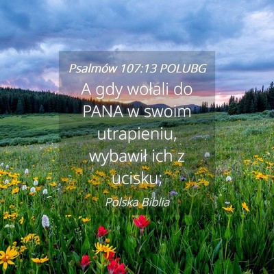 Picture 04 - Psalmów 107:13 POLUBG - A gdy wołali do PANA w swoim utrapieniu, - Bible Verse Picture