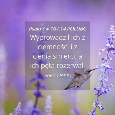 Picture 04 - Psalmów 107:14 POLUBG - Wyprowadził ich z ciemności i z cienia - Bible Verse Picture