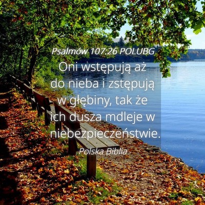 Picture 04 - Psalmów 107:26 POLUBG - Oni wstępują aż do nieba i zstępują w - Bible Verse Picture