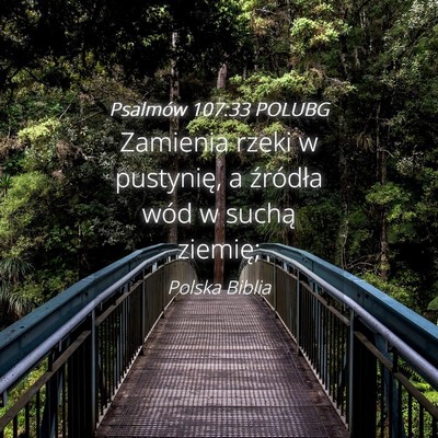 Picture 04 - Psalmów 107:33 POLUBG - Zamienia rzeki w pustynię, a źródła wód w - Bible Verse Picture