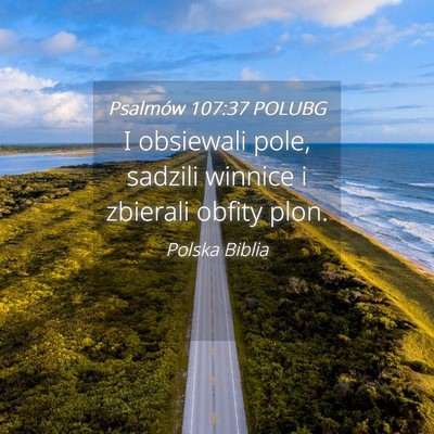 Picture 04 - Psalmów 107:37 POLUBG - I obsiewali pole, sadzili winnice i zbierali - Bible Verse Picture