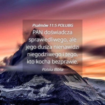 Picture 04 - Psalmów 11:5 POLUBG - PAN doświadcza sprawiedliwego, ale jego dusza - Bible Verse Picture