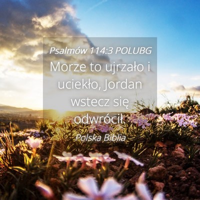 Picture 04 - Psalmów 114:3 POLUBG - Morze to ujrzało i uciekło, Jordan wstecz się - Bible Verse Picture