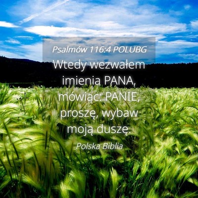 Picture 04 - Psalmów 116:4 POLUBG - Wtedy wezwałem imienia PANA, mówiąc: PANIE, - Bible Verse Picture