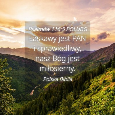 Picture 04 - Psalmów 116:5 POLUBG - Łaskawy jest PAN i sprawiedliwy, nasz Bóg jest - Bible Verse Picture