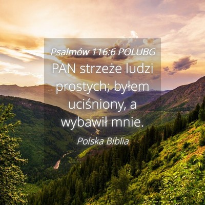 Picture 04 - Psalmów 116:6 POLUBG - PAN strzeże ludzi prostych; byłem uciśniony, a - Bible Verse Picture