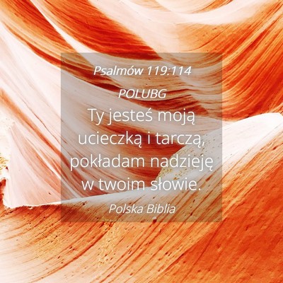 Picture 04 - Psalmów 119:114 POLUBG - Ty jesteś moją ucieczką i tarczą, pokładam - Bible Verse Picture