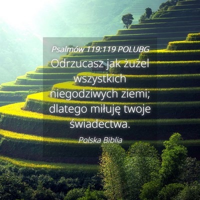 Picture 04 - Psalmów 119:119 POLUBG - Odrzucasz jak żużel wszystkich niegodziwych - Bible Verse Picture