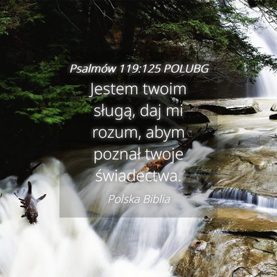 Picture 04 - Psalmów 119:125 POLUBG - Jestem twoim sługą, daj mi rozum, abym poznał - Bible Verse Picture