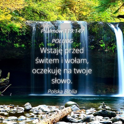 Picture 04 - Psalmów 119:147 POLUBG - Wstaję przed świtem i wołam, oczekuję na - Bible Verse Picture