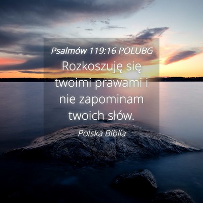 Picture 04 - Psalmów 119:16 POLUBG - Rozkoszuję się twoimi prawami i nie zapominam - Bible Verse Picture