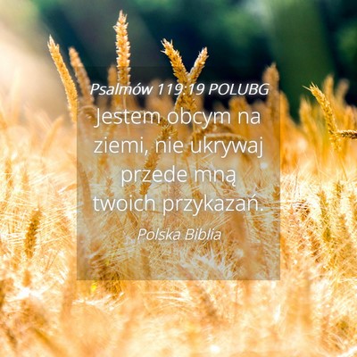 Picture 04 - Psalmów 119:19 POLUBG - Jestem obcym na ziemi, nie ukrywaj przede mną - Bible Verse Picture