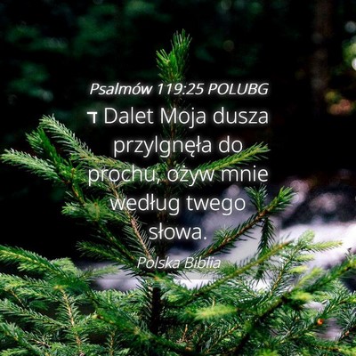Picture 04 - Psalmów 119:25 POLUBG - ד Dalet Moja dusza przylgnęła do prochu, ożyw - Bible Verse Picture