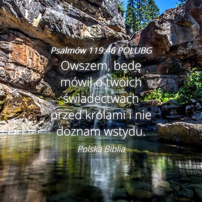 Picture 04 - Psalmów 119:46 POLUBG - Owszem, będę mówił o twoich świadectwach - Bible Verse Picture