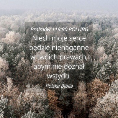 Picture 04 - Psalmów 119:80 POLUBG - Niech moje serce będzie nienaganne w twoich - Bible Verse Picture