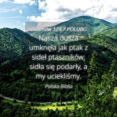 Picture 04 - Psalmów 124:7 POLUBG - Nasza dusza umknęła jak ptak z sideł - Bible Verse Picture