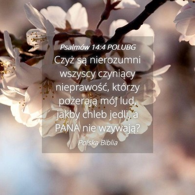 Picture 04 - Psalmów 14:4 POLUBG - Czyż są nierozumni wszyscy czyniący - Bible Verse Picture