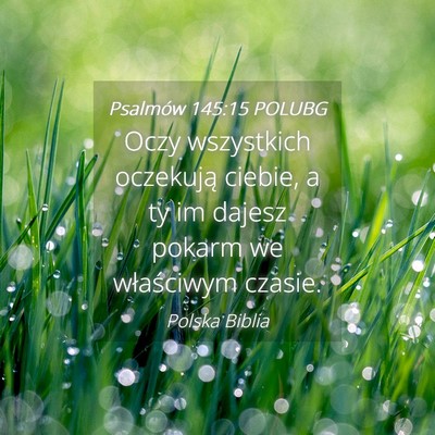 Picture 04 - Psalmów 145:15 POLUBG - Oczy wszystkich oczekują ciebie, a ty im dajesz - Bible Verse Picture