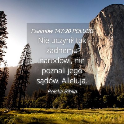 Picture 04 - Psalmów 147:20 POLUBG - Nie uczynił tak żadnemu narodowi, nie poznali - Bible Verse Picture