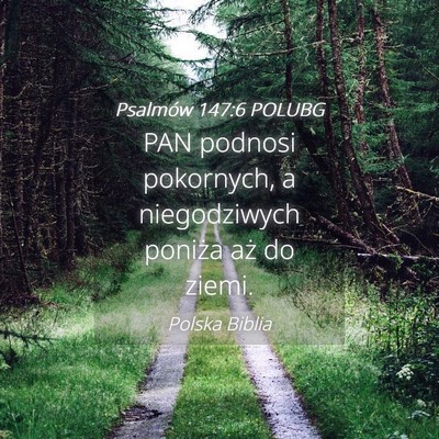 Picture 04 - Psalmów 147:6 POLUBG - PAN podnosi pokornych, a niegodziwych poniża aż - Bible Verse Picture