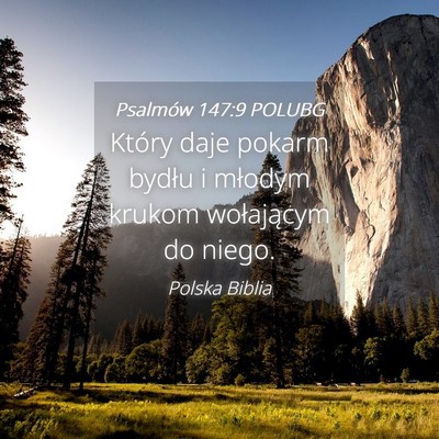 Picture 04 - Psalmów 147:9 POLUBG - Który daje pokarm bydłu i młodym krukom - Bible Verse Picture