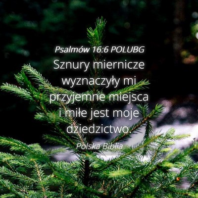 Picture 04 - Psalmów 16:6 POLUBG - Sznury miernicze wyznaczyły mi przyjemne miejsca - Bible Verse Picture