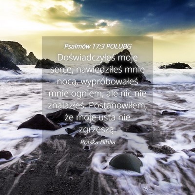 Picture 04 - Psalmów 17:3 POLUBG - Doświadczyłeś moje serce, nawiedziłeś mnie - Bible Verse Picture