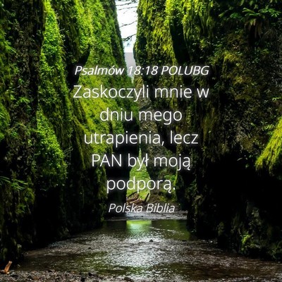 Picture 04 - Psalmów 18:18 POLUBG - Zaskoczyli mnie w dniu mego utrapienia, lecz PAN - Bible Verse Picture